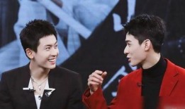 娱乐圈双男主,娱乐圈双男主的璀璨传奇